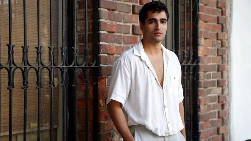 зимородок ферит
